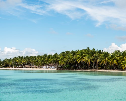 Small tropical island covered in palm trees