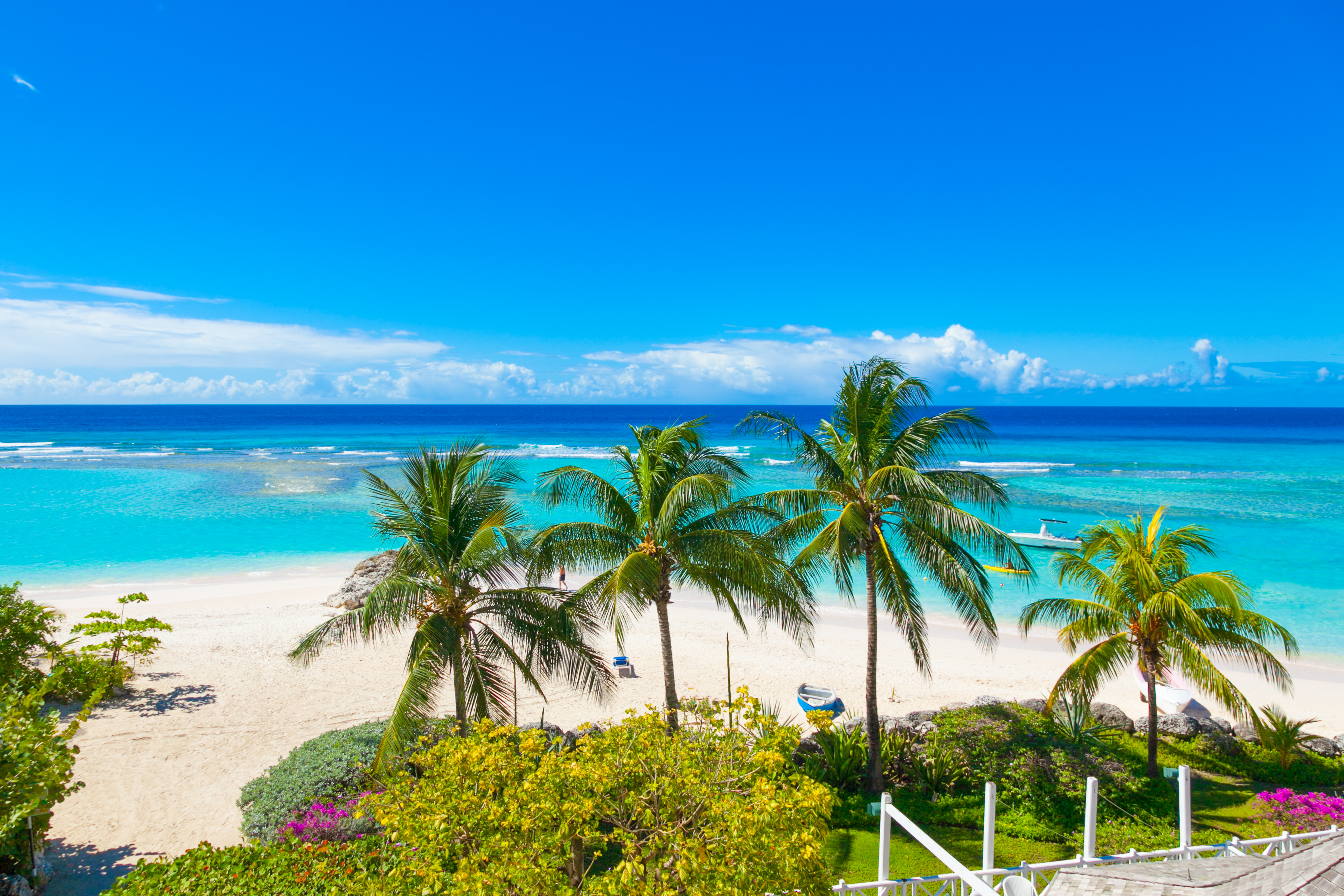 Palm trees overlooking beautiful turquoise sea