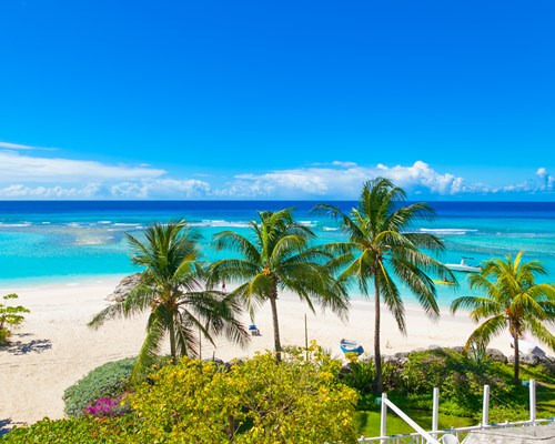 Palm trees overlooking beautiful turquoise sea