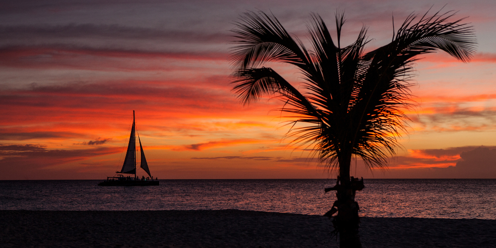 Boat sailing off into the sunset and a tall palm tree at the forefront