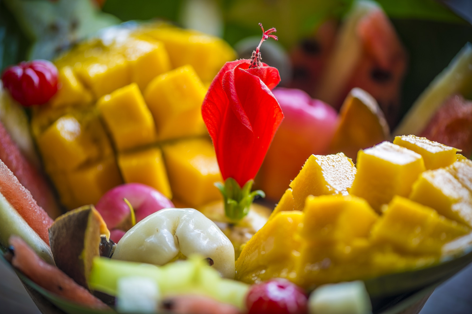 Close up of a colourful selection of tropical fruits