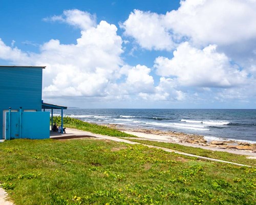 Blue hut on a grassy and rocky beach with wavy sea