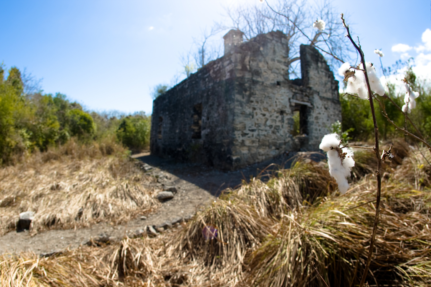 An old stone building surrounded by long grass in Turks And Caicos