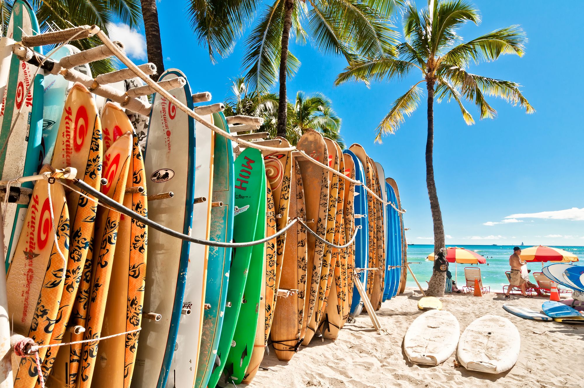 Surfboards lined up in a rack on a palm-dotted beach