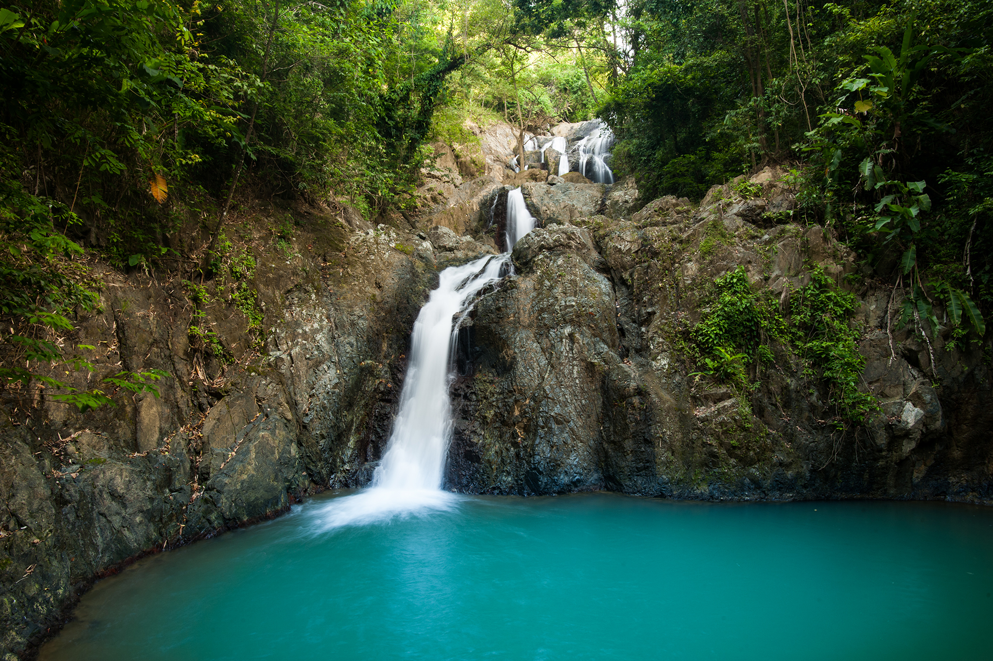 Small waterfall flowing into a blue pool of water in a forest