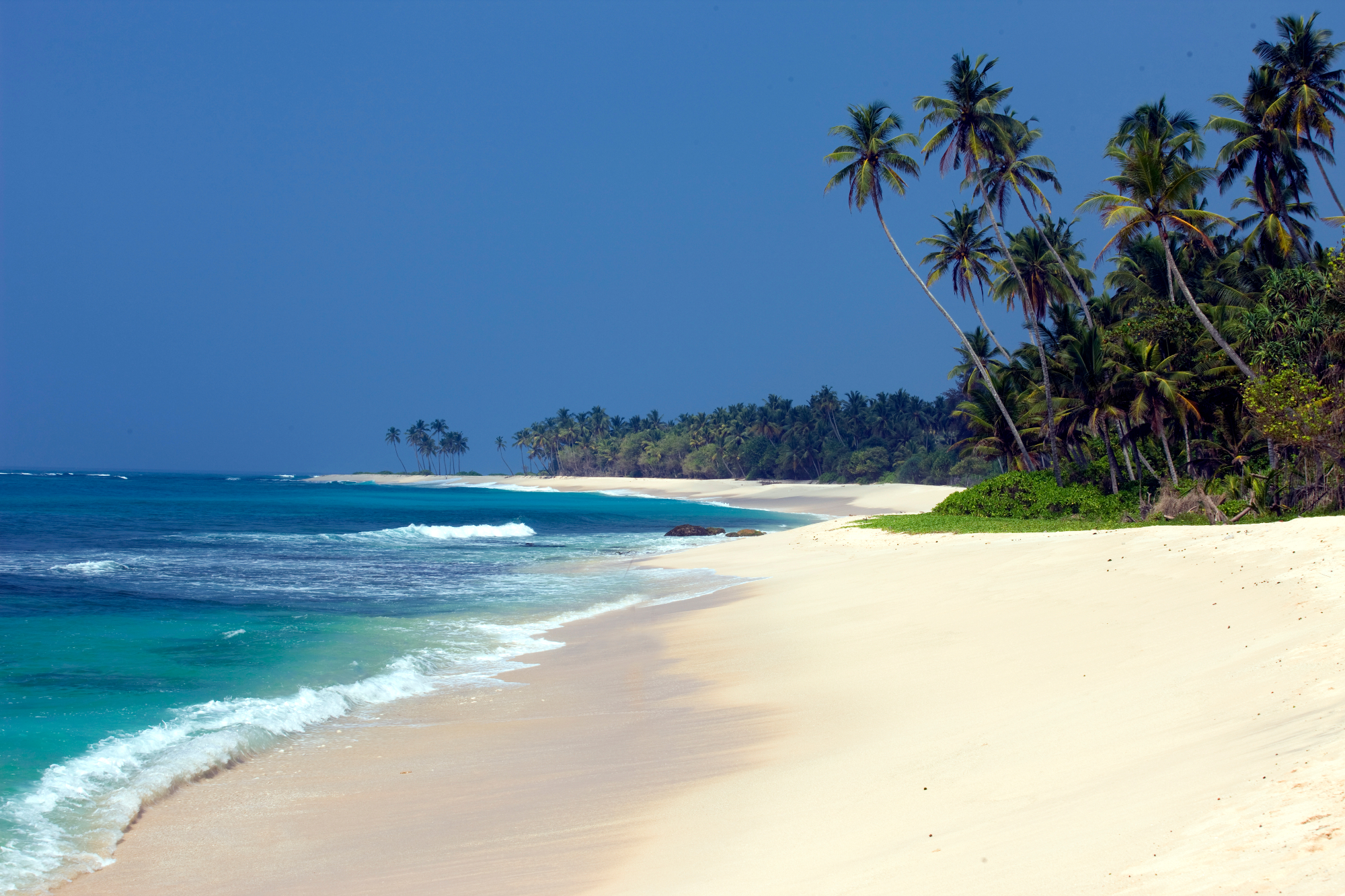 Golden Bentota Beach with blue waters and leafy greens in the background 