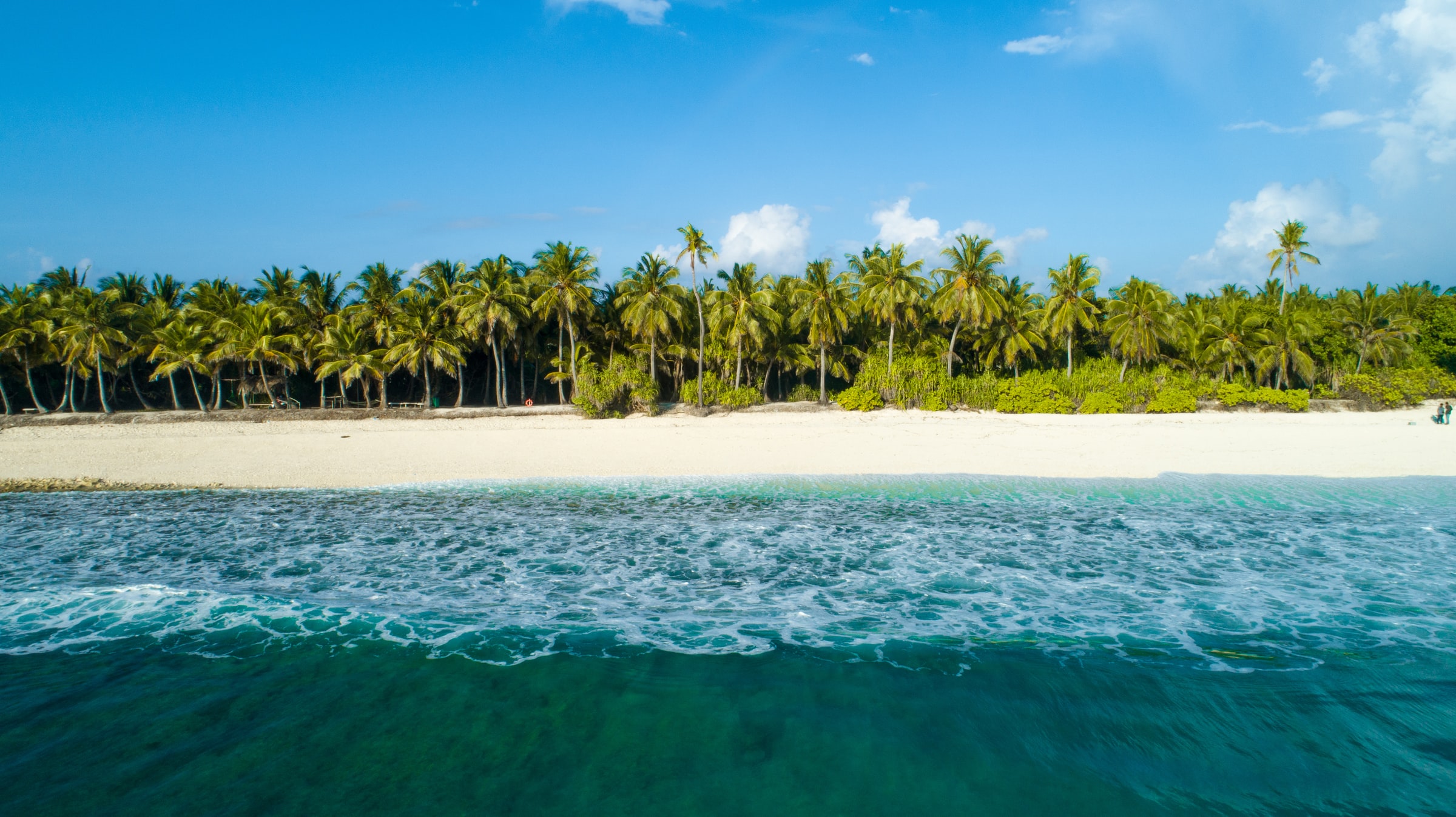 Landscape Photo Of Beach With Jungle Of Mangroves