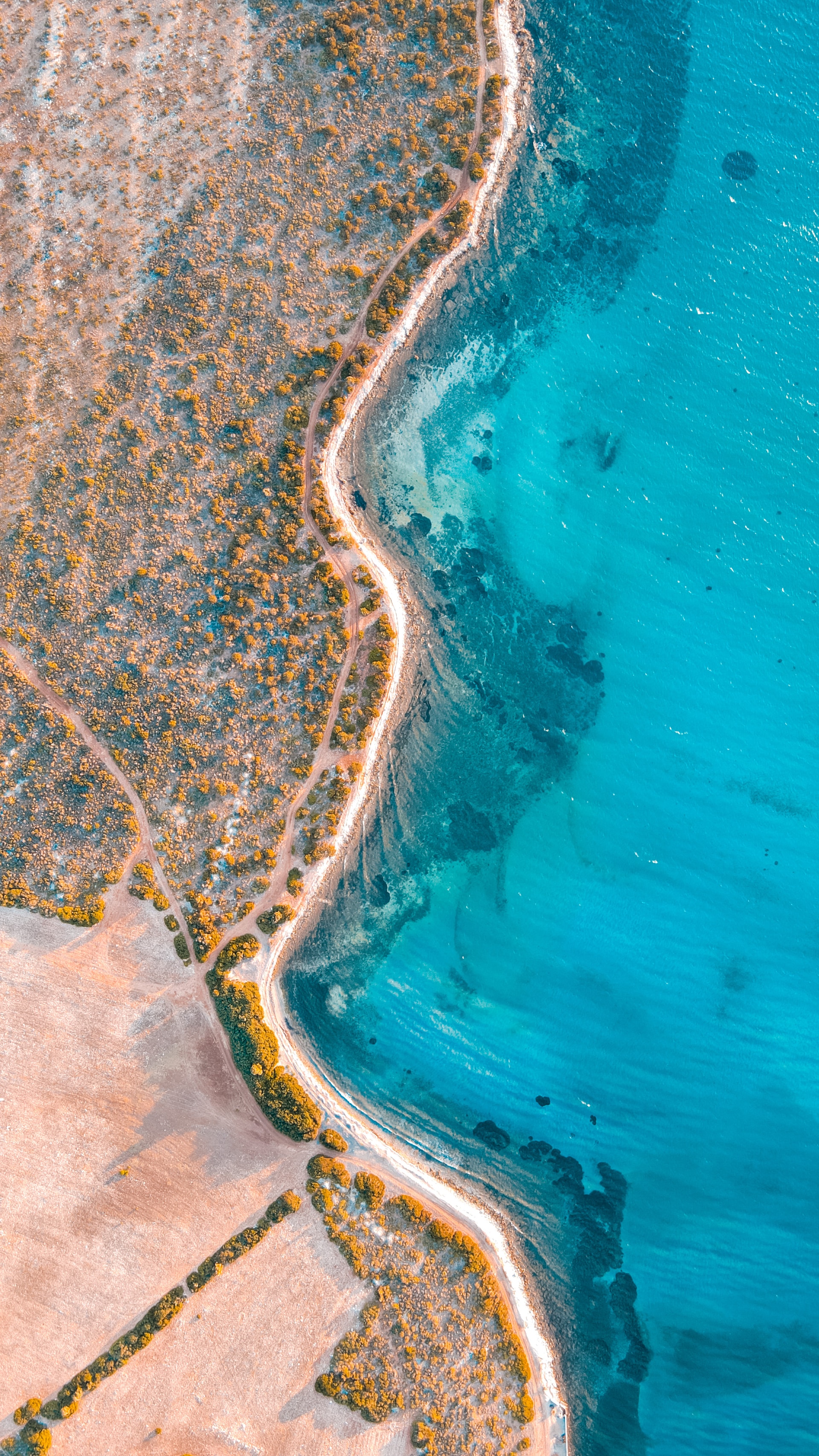 An aerial view of a split between the land and the sea