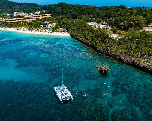 Yacht sailing on the sea with lush vegetation