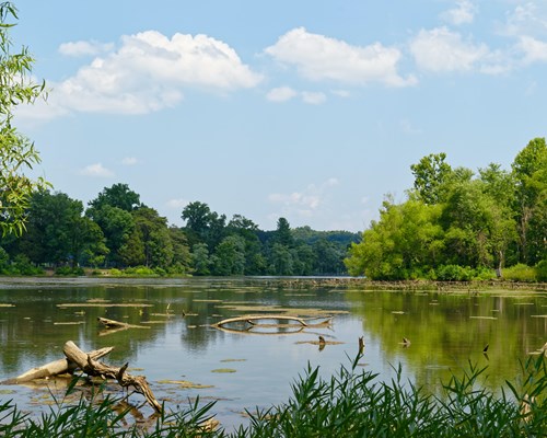 Scenic lake with greenery surrounding it and clear blue skies - West Coast Sri Lanka