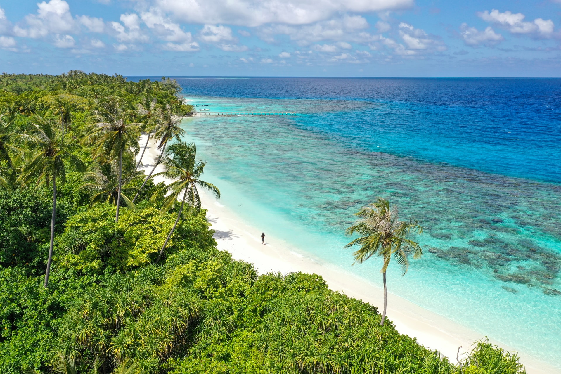 Angle shot of jungled mangroves and tranquil beach 