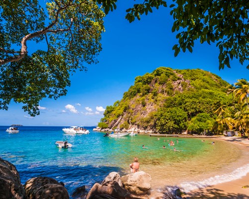 People enjoying the sea at a rustic beach with tall trees creating shadows on the sand