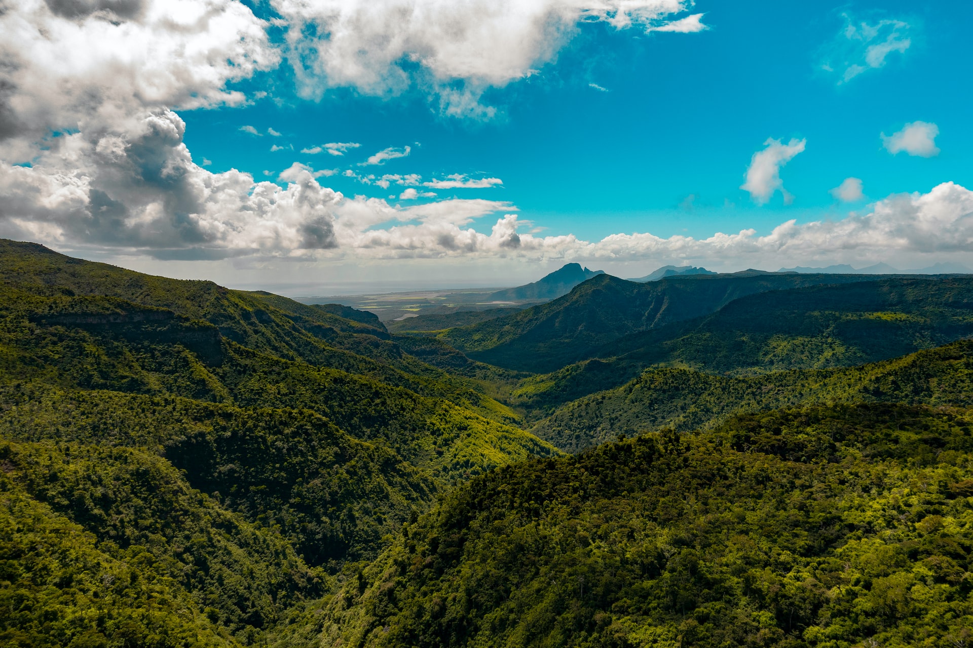View Of Forests And Mountains