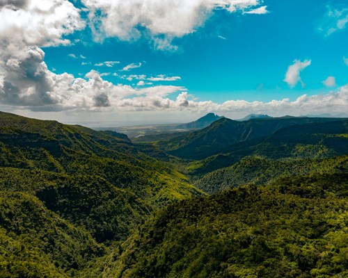 View Of Forests And Mountains