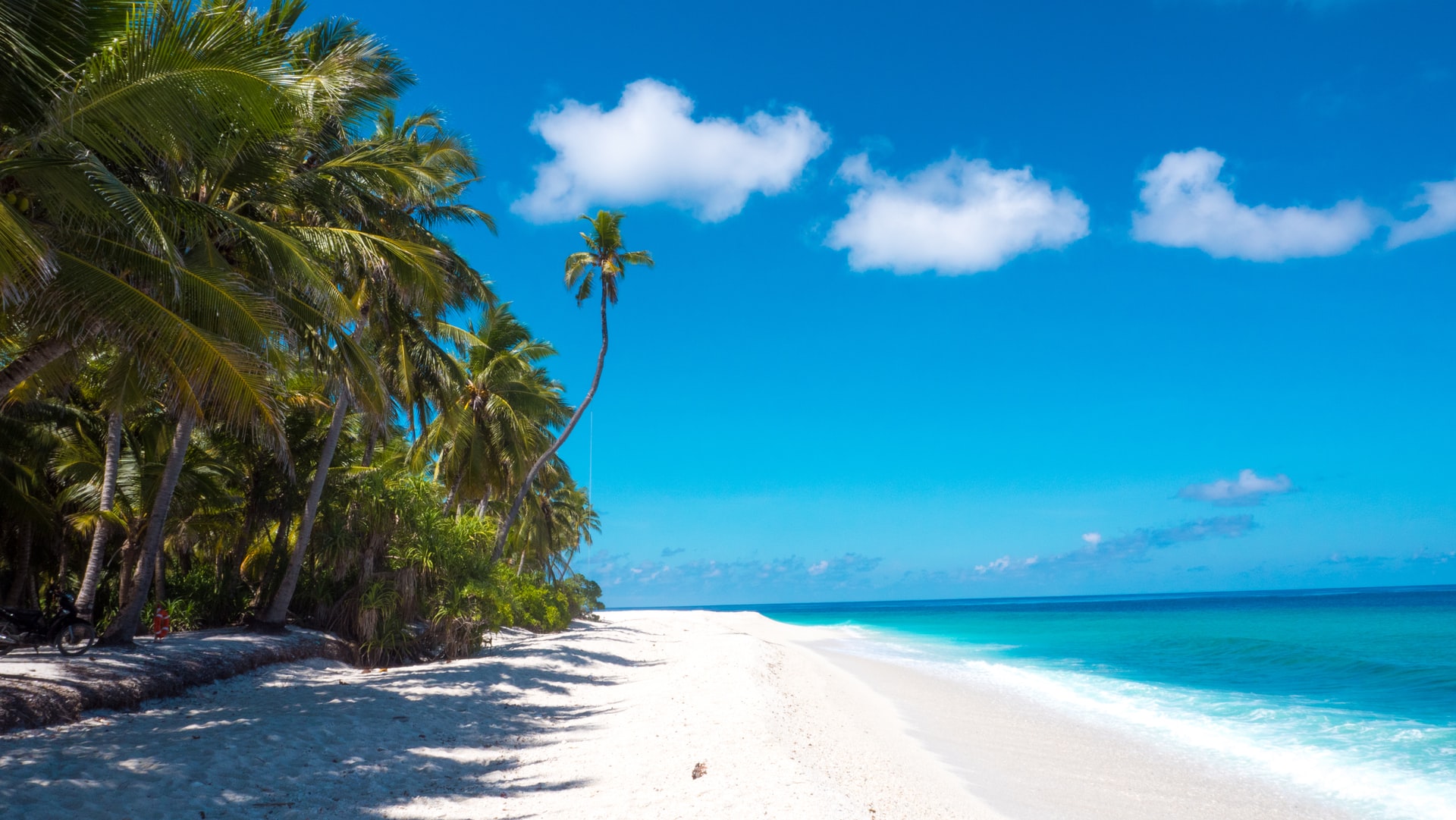 Small waves crashing on an empty white sand tropical beach lined with tall palm trees