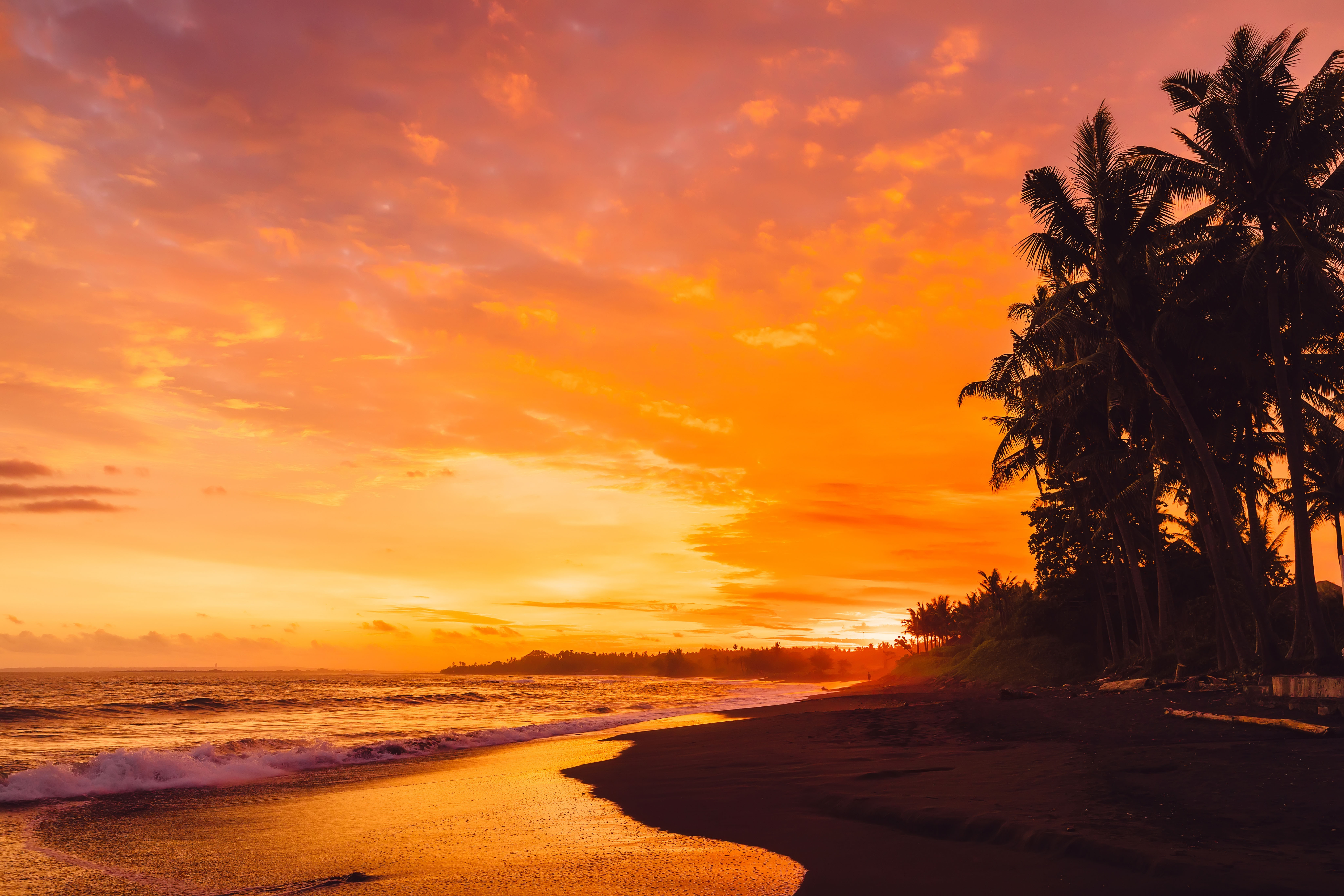 sunset behind silhouetted palms on Keramas beach Bali