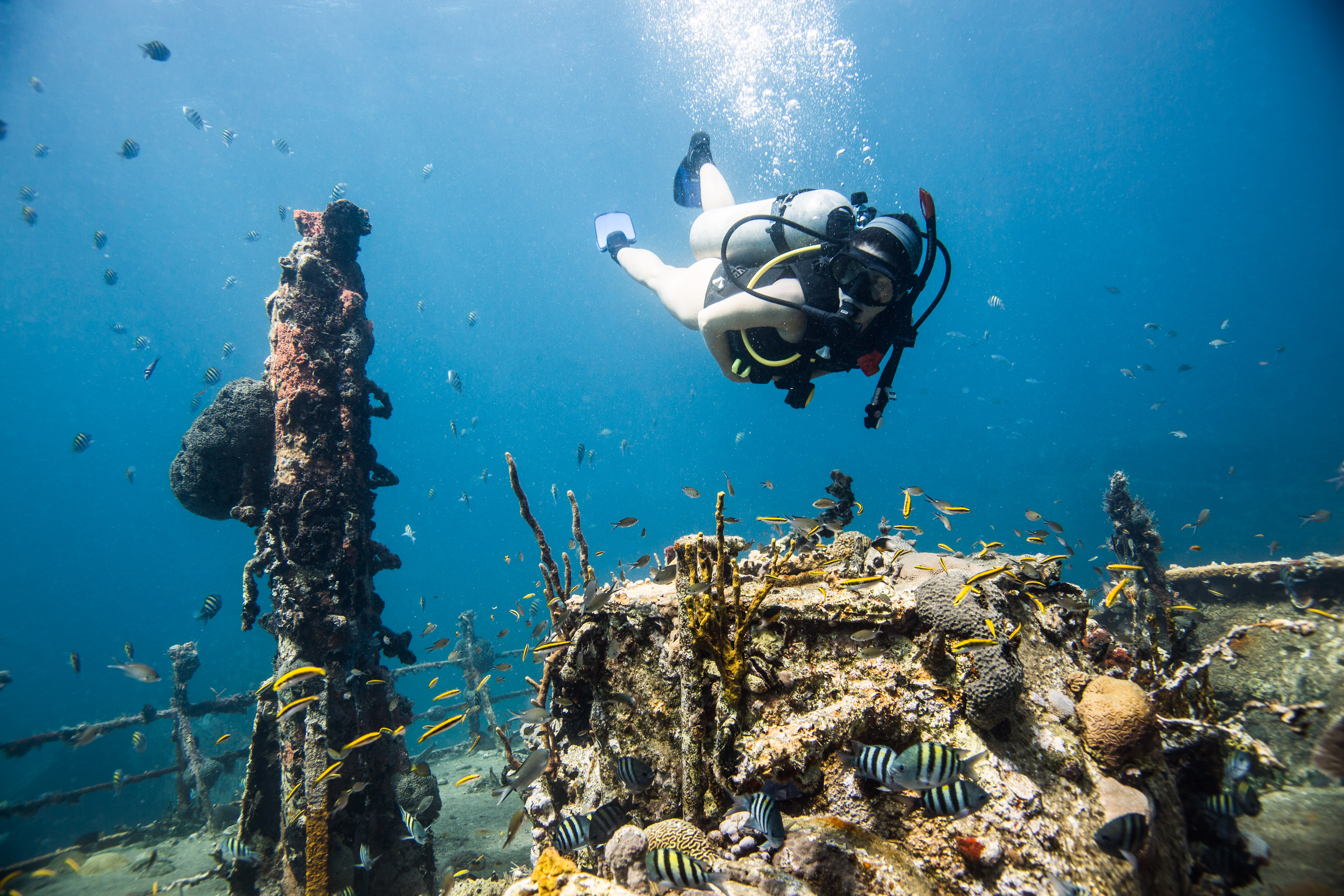 Scuba diver exploring River Taw Wreck in St. Kitts & Nevis