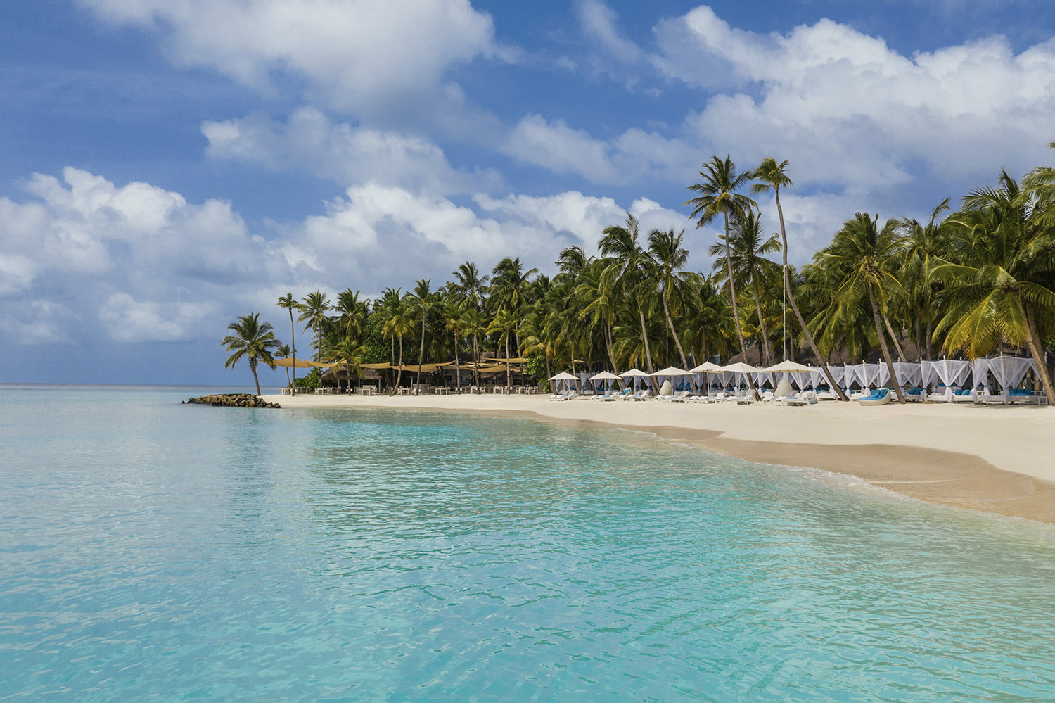 Sun beds and day beds lined up along a pristine white sand beach lined with palm trees