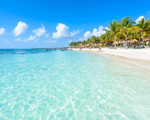 Palm trees behind a white sand tropical beach with a crystal clear blue sea
