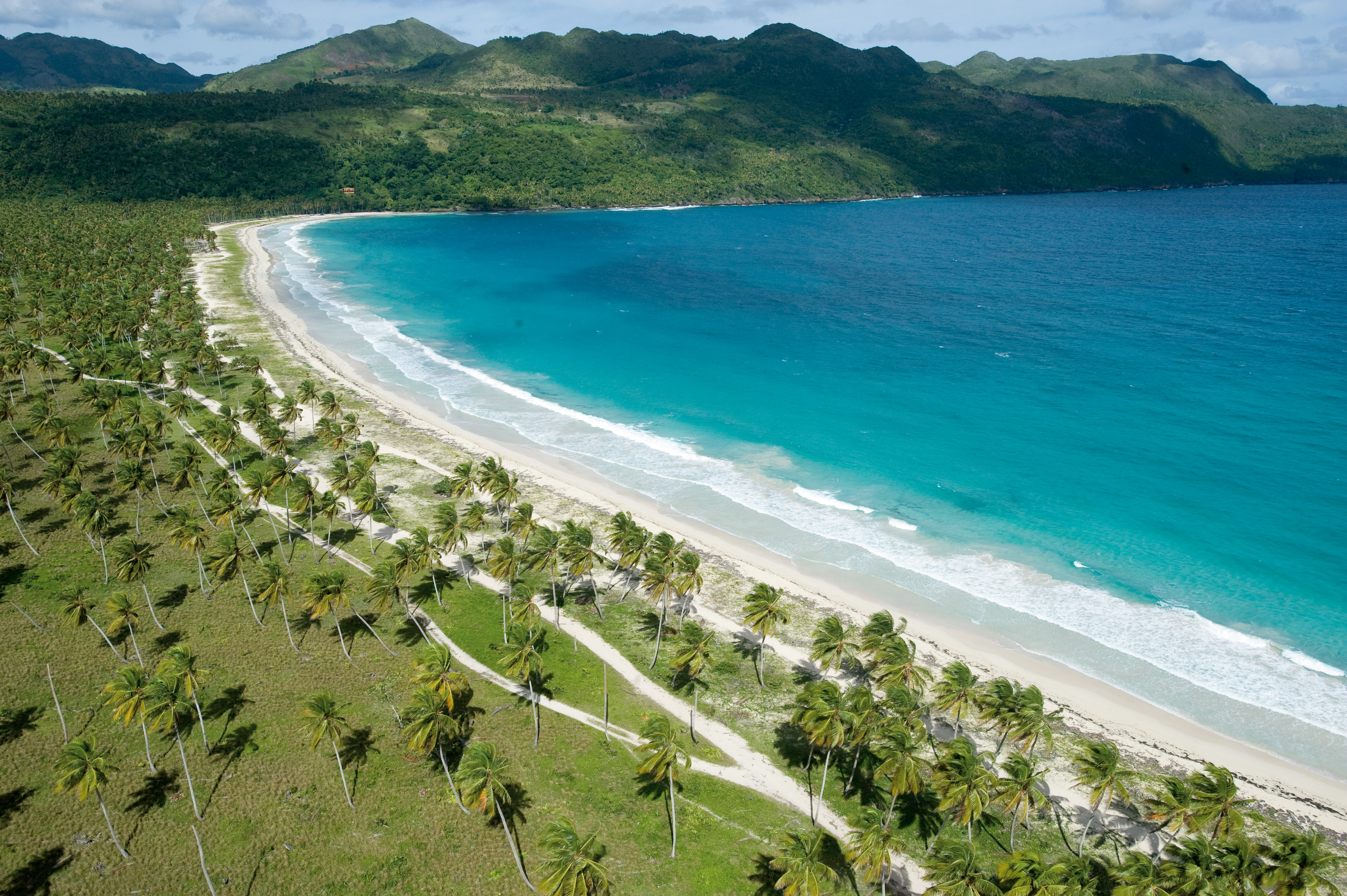 Aerial view of a white-sand stretch of beach backed by a forest of palm trees and green hills