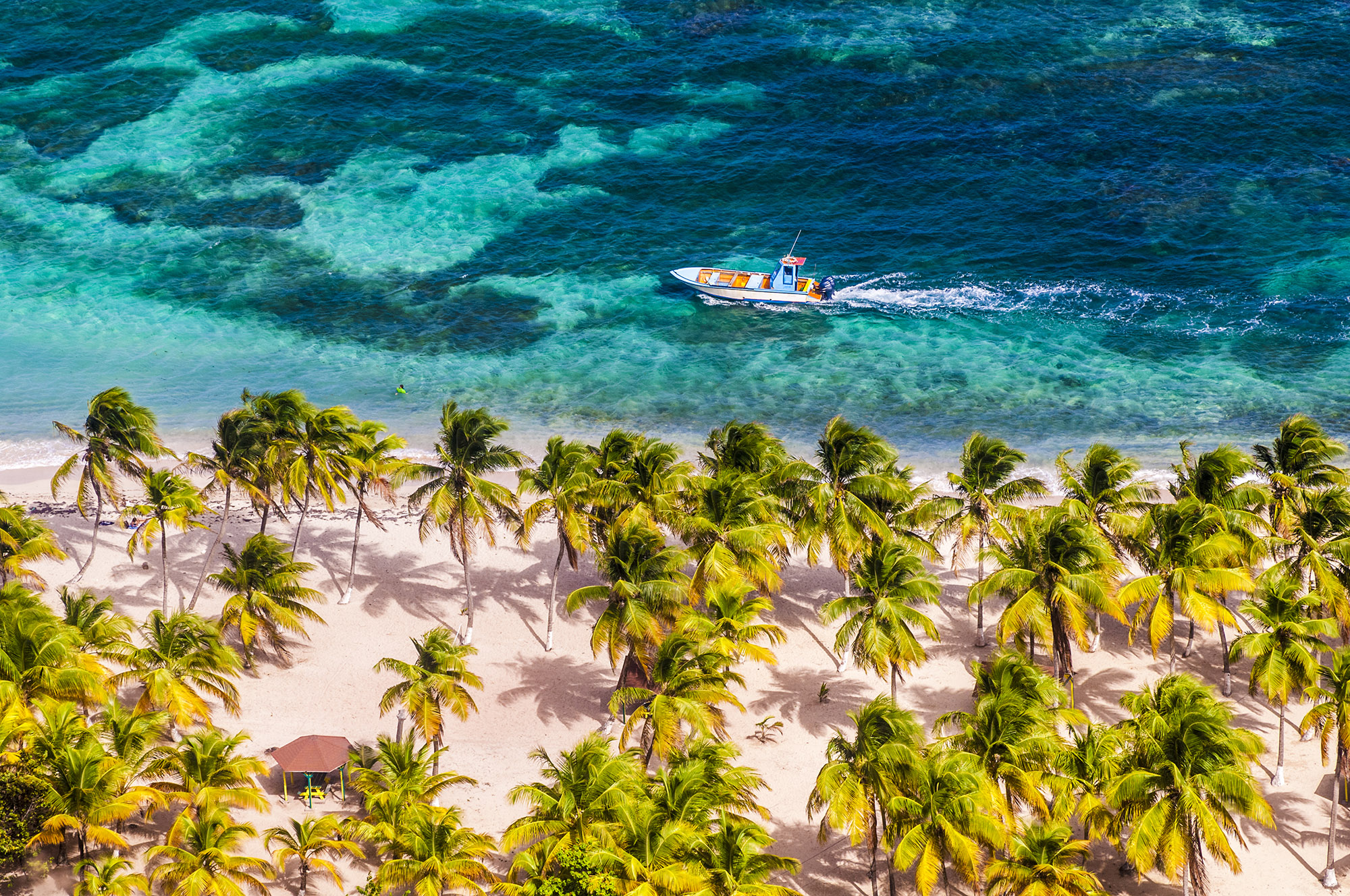 Small fishing boat driving past a white sand tropical beach with tall palm trees swaying in the wind