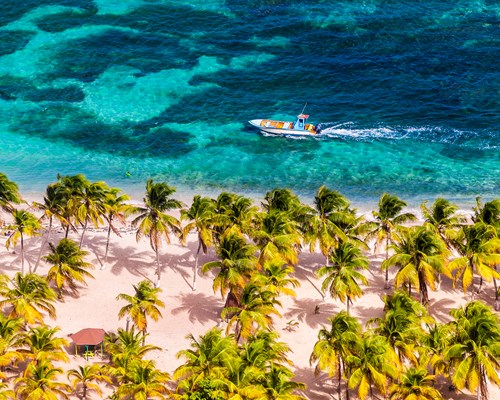 Small fishing boat driving past a white sand tropical beach with tall palm trees swaying in the wind