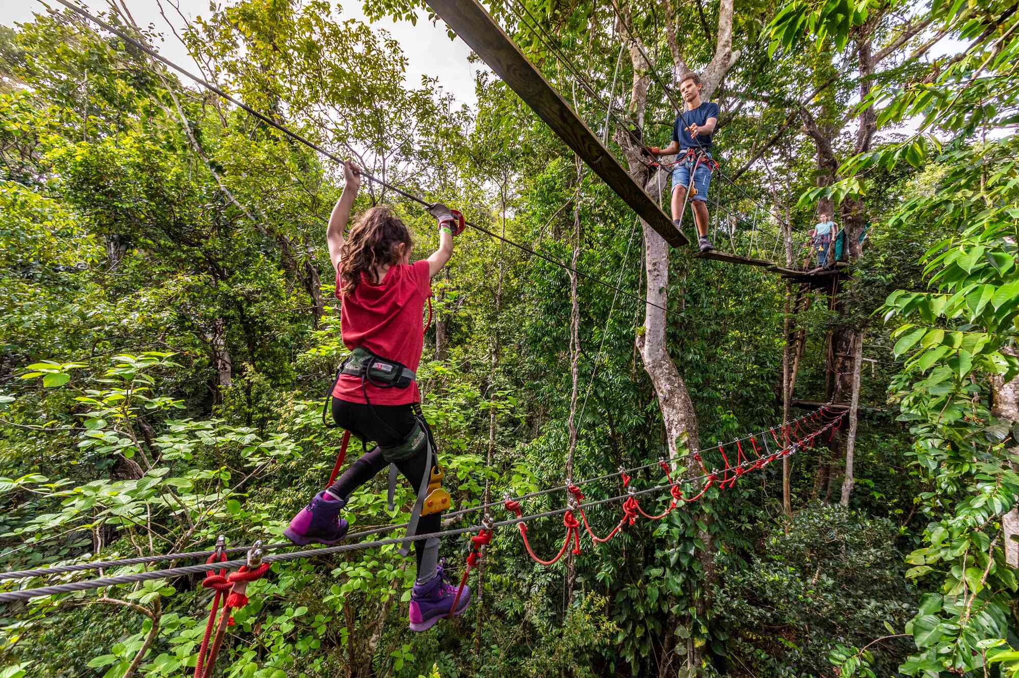 Children climbing ropes and walking over planks between trees