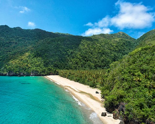 A golden sand beach backed by thick jungle